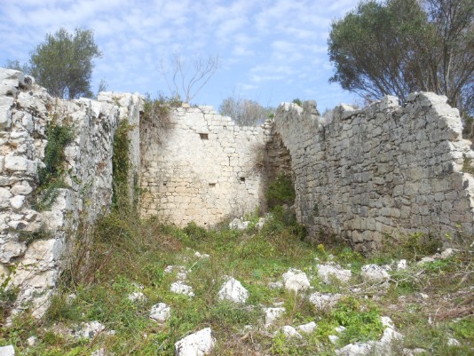 ruderi della Casa Senatoria