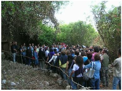 XVI Festa dell'Alveria (23 maggio)